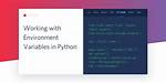 Set Environment Variable in Python Script