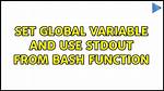 Set Global Variable and Use Stdout from Bash Function