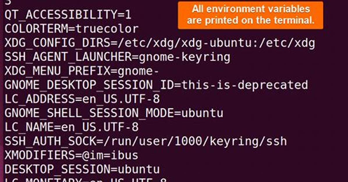 Setting Environment Variables in Linux Using Bash