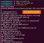 Setting Environment Variables in Linux Using Bash