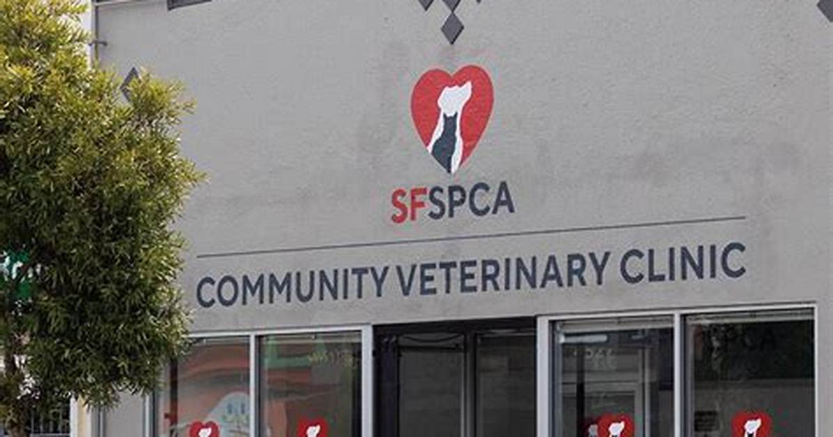 Sf Spca