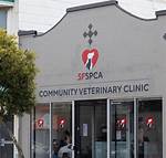 Sf Spca