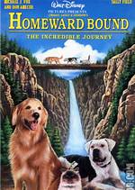 Shadow (Homeward Bound) Fan Casting