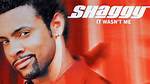 Shaggy