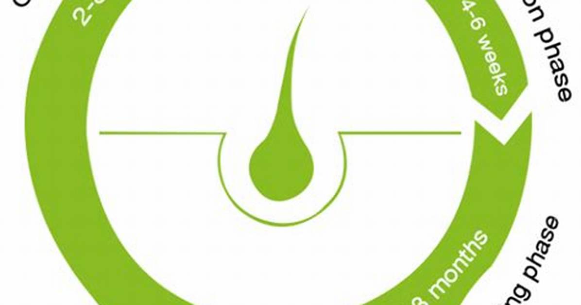 Shampoo Cycle Loop