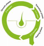 Shampoo Cycle Loop