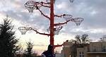 Shaqs Rim Tree