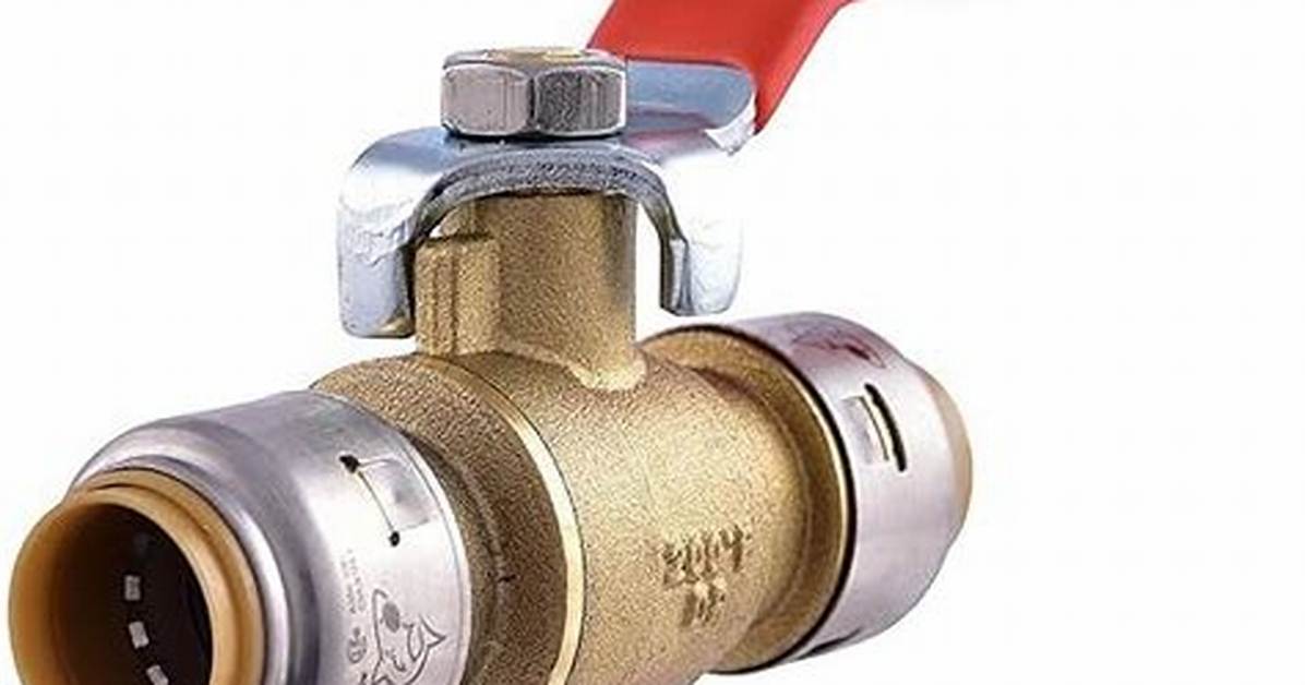 Shark Bite Valve