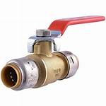 Shark Bite Valve