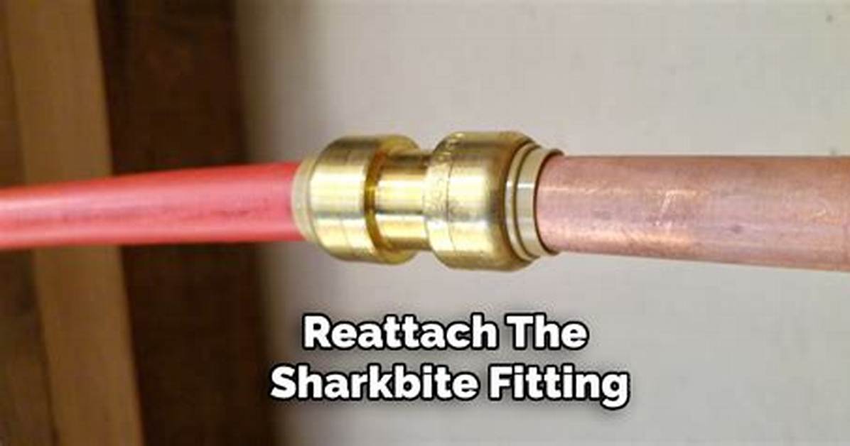 Sharkbite Fitting Leaking