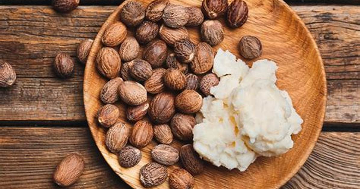 Shea Nut