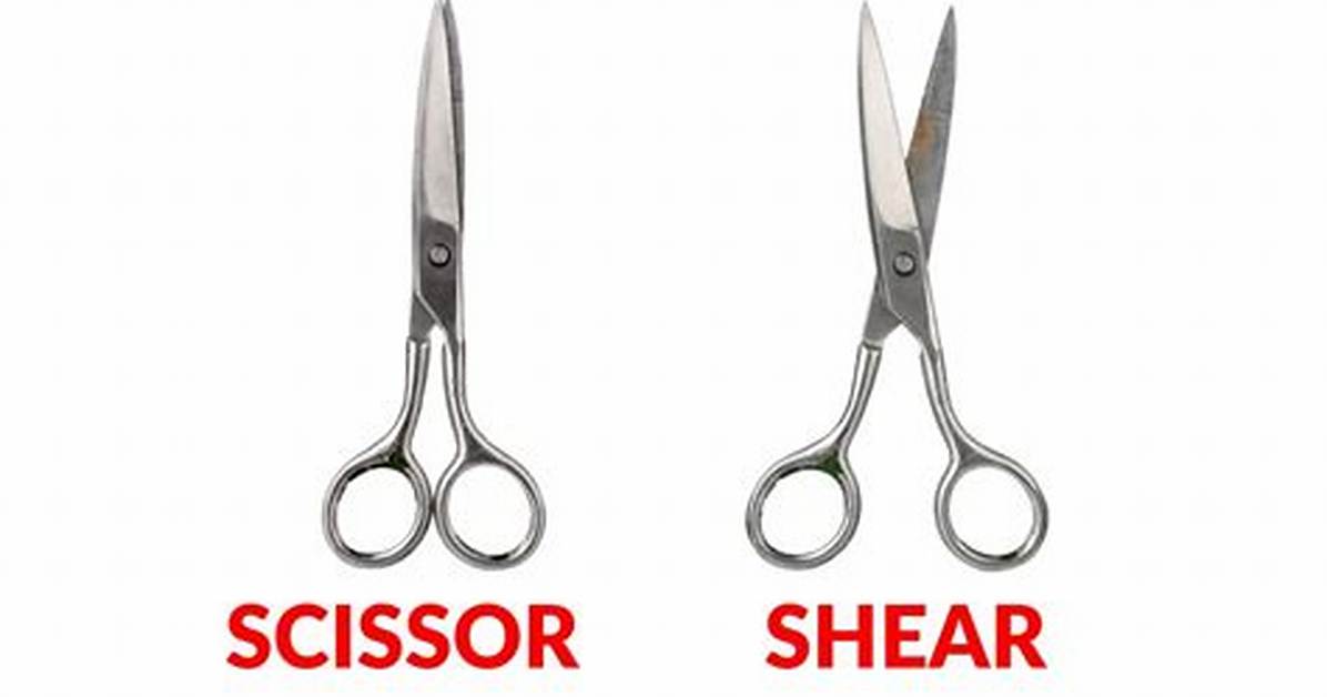 Shears Meaning