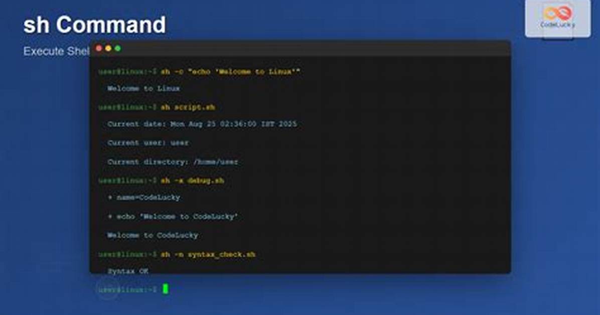 Shell Command Set -X Mean in Script [Duplicate]