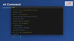Shell Command Set -X Mean in Script [Duplicate]