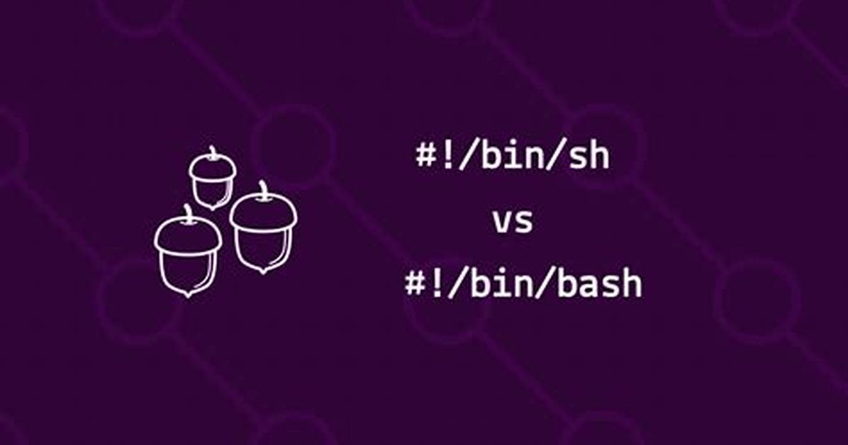 Shell-Script Headers (#! /Bin/Sh vs #! /Bin/Csh)