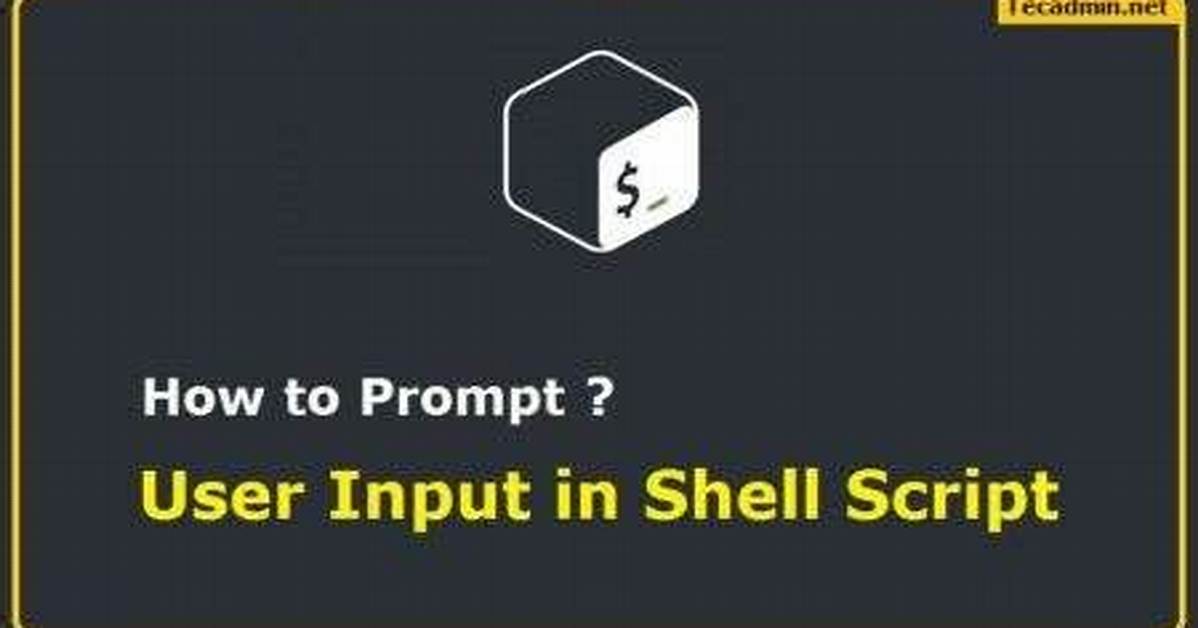 Shell Script with User Input Prompt