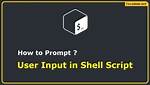Shell Script with User Input Prompt