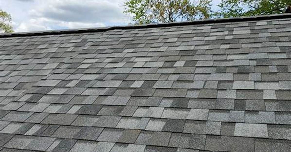 Shingle