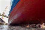 Ship's Bottom