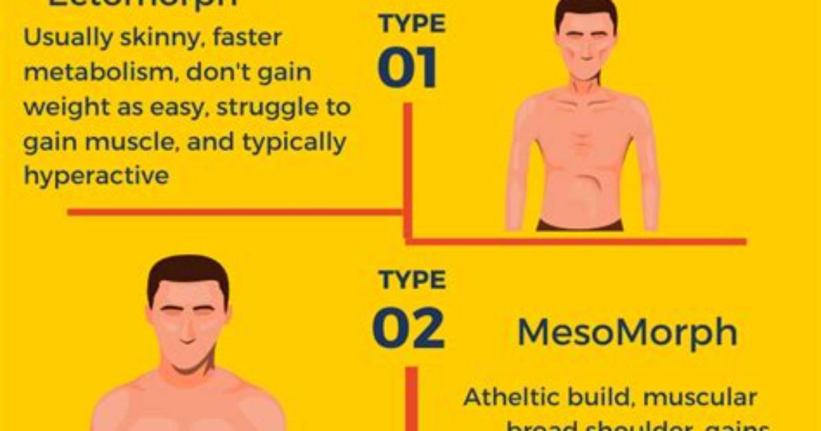 Should a Mesomorph Fast?