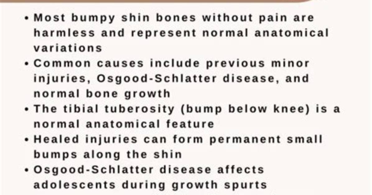 Should a Shin Bone Feels Bumpy?