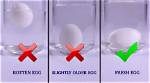 Should Boiling Eggs Float?