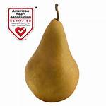 Should Bosc Pears Be Soft?