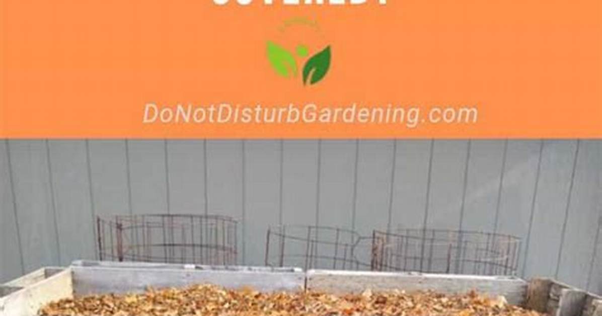Should Compost Be Covered?