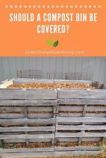 Should Compost Be Covered?