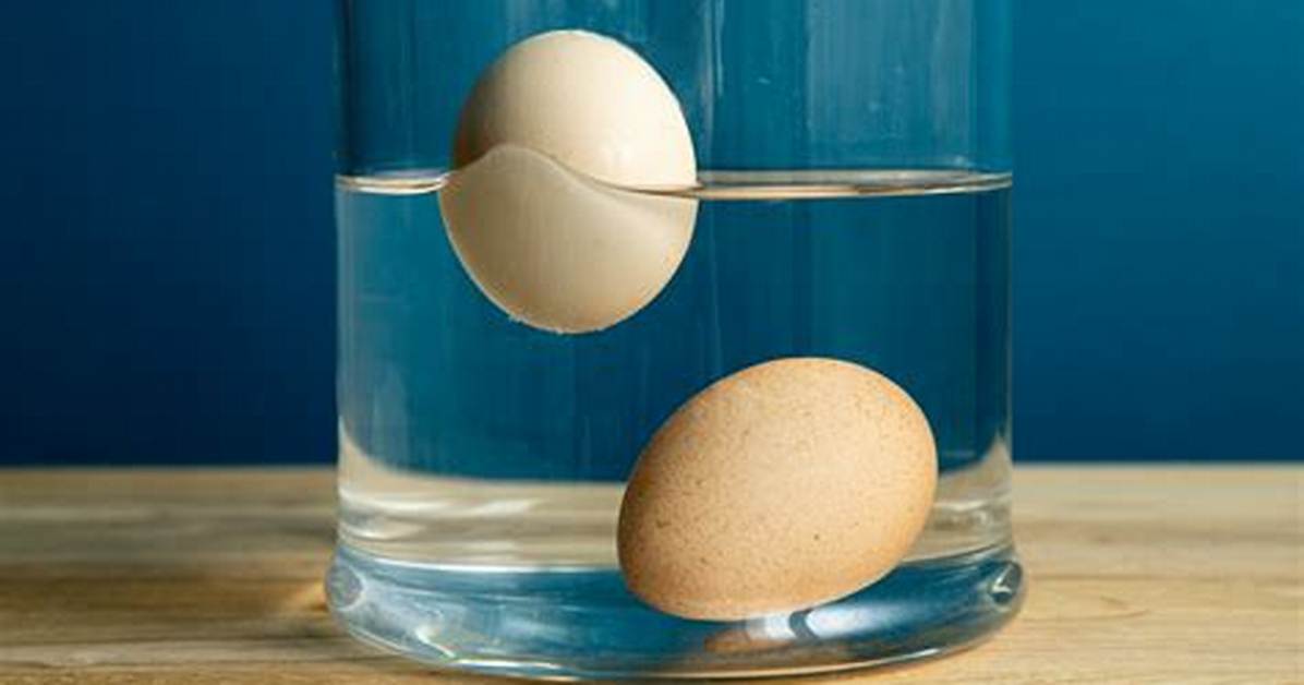 Should Duck Eggs Float?