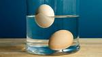 Should Duck Eggs Float?