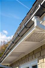 Should Eaves Be Vented?