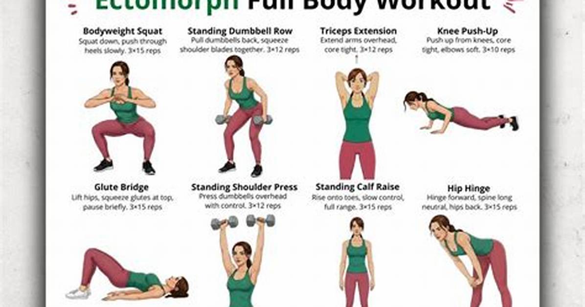 Should Ectomorphs Do Full Body Workouts?