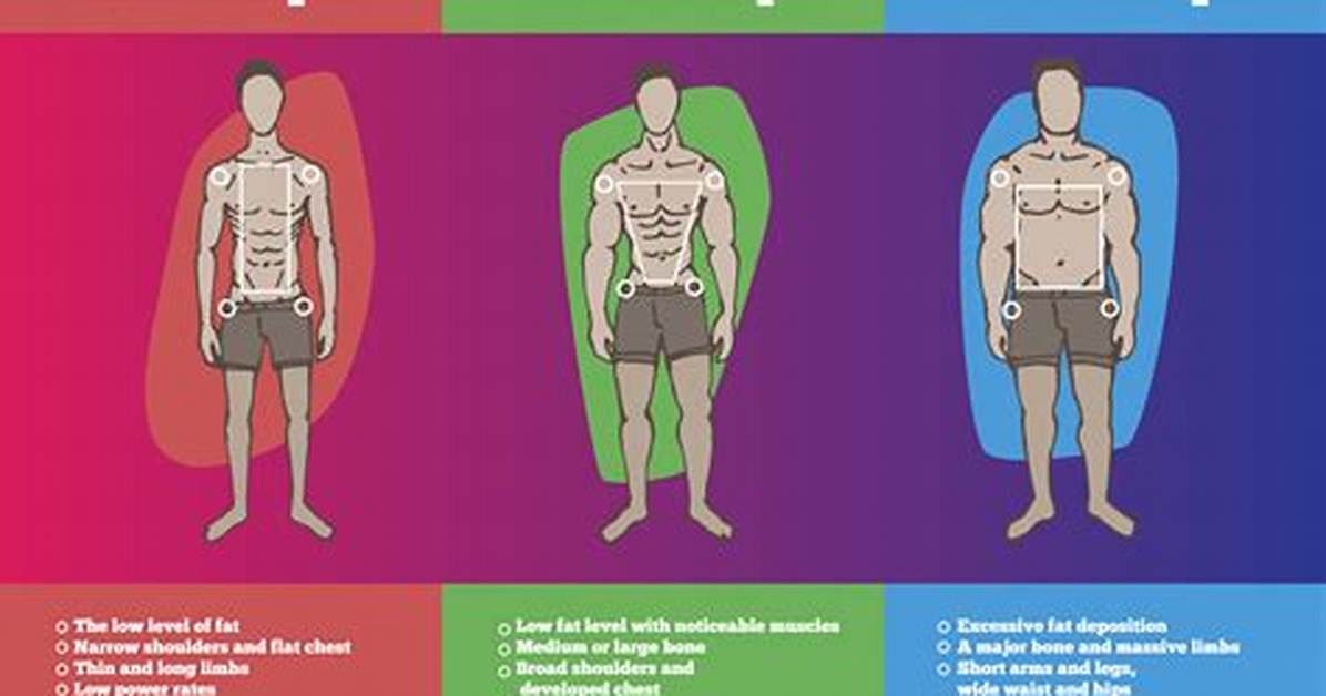 Should Ectomorphs Workout Everyday?