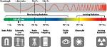 Should Emf Be Negative?