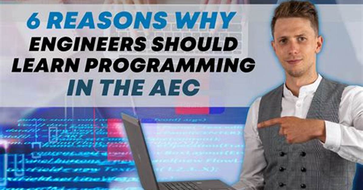 Should Engineers Learn Programming?