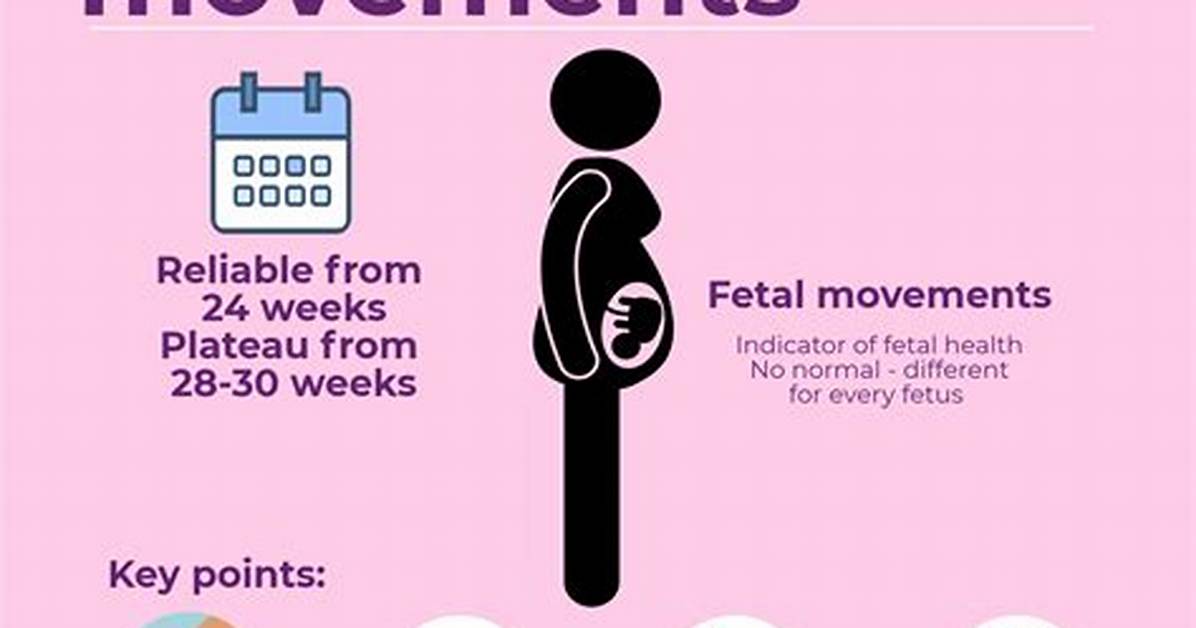 Should Fetal Movement Decrease?