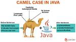 Should Functions Be Camel Case?