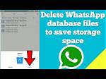 Should I Delete Whatsapp Database?