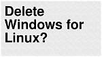 Should I Delete Windows Install Linux?