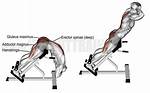 Should I Do Hyperextensions?