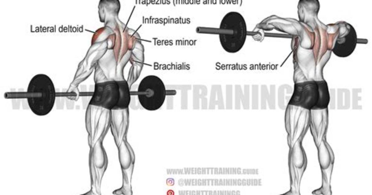 Should I Do Upright Rows?