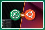 Should I Encrypt Linux Mint?