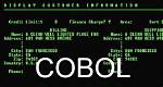 Should I Learn Cobol?