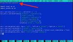 Should I Put #! (Shebang) in Python Scripts, and What Form Should It Take?