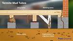 Should I Remove Termite Tubes?