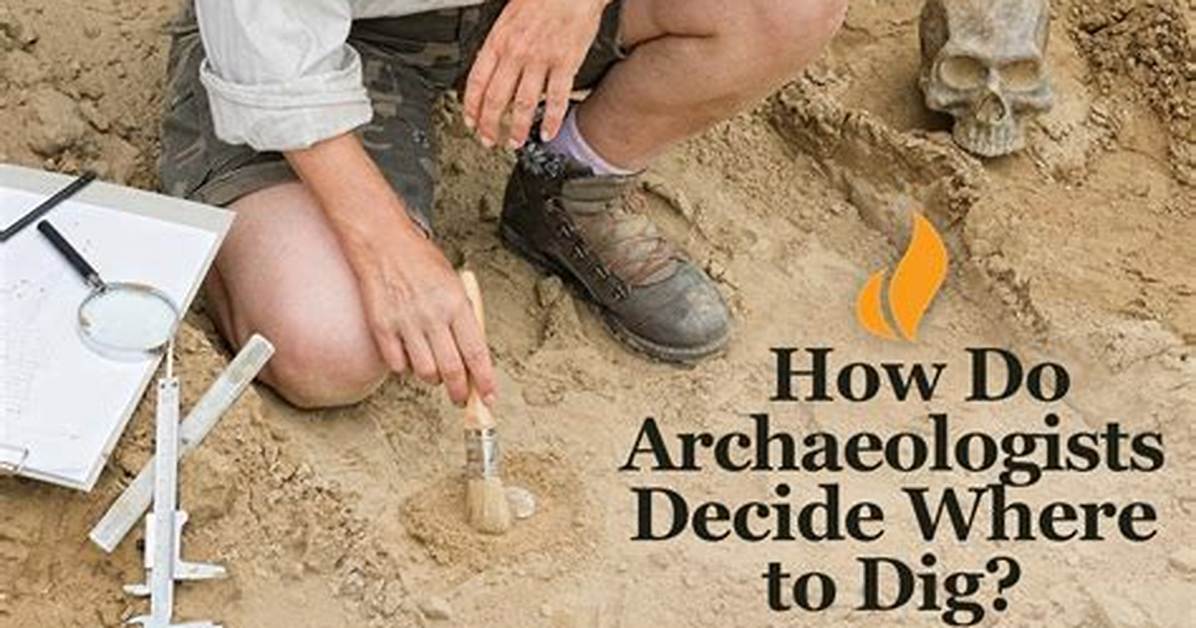 Should I Study Archaeologist?