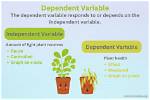 Should I Transform Dependent Variable?