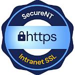 Should Intranet Be Https?