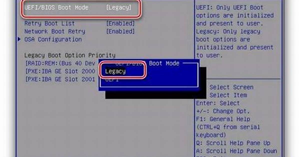 Should Legacy Support Be Enabled?